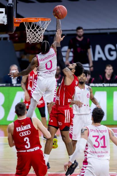 德约科维奇 德约科维奇