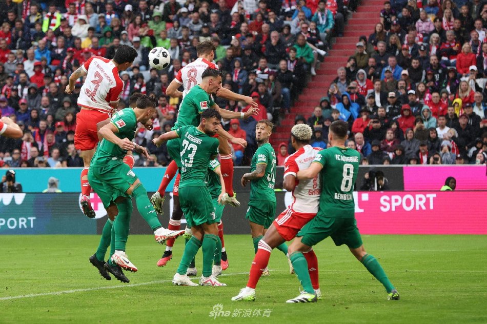 级别的阵容 级别的阵容