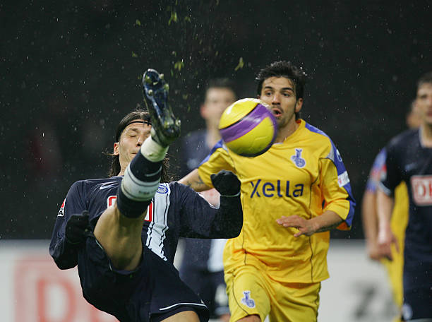 多点开花的 多点开花的